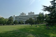 The central lawn